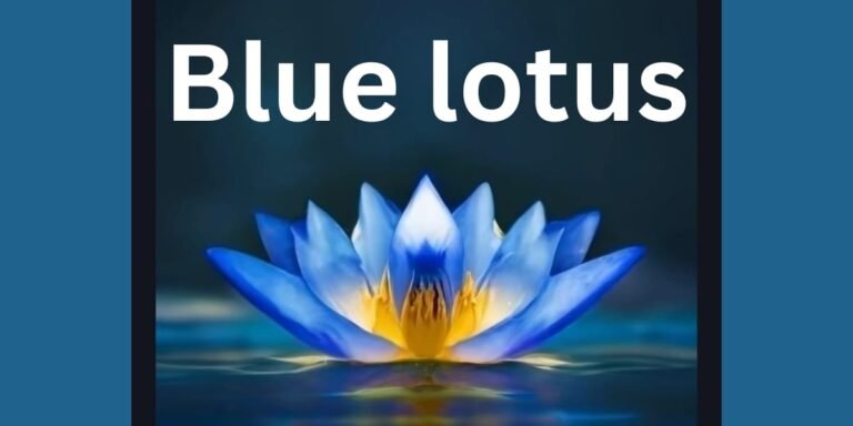 Blue lotus benefits | Historical Significance of Blue Lotus 2 Blue lotus benefit